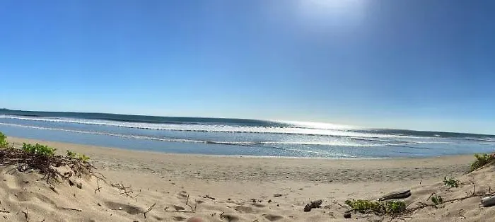 Kalei