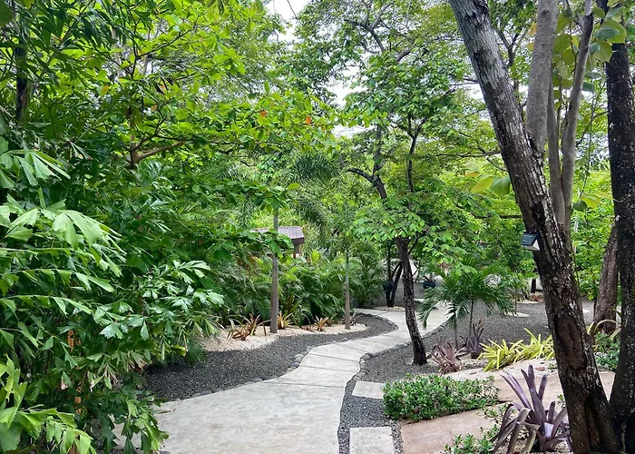 Kalei Apartahotel Playa Grande